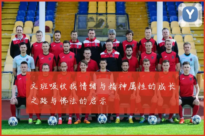 文班吸收我情绪与精神属性的成长之路与佛法的启示